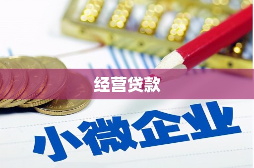 贵德经营贷款