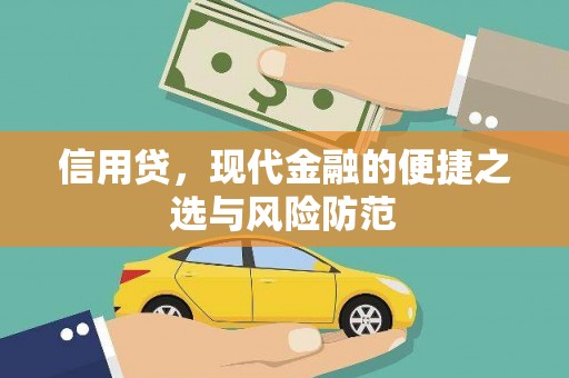 贵德信用贷，现代金融的便捷之选与风险防范