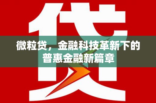贵德微粒贷，金融科技革新下的普惠金融新篇章