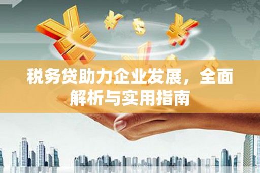 贵德税务贷助力企业发展，全面解析与实用指南