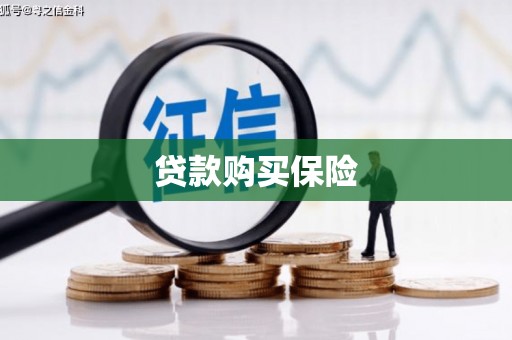 贵德贷款购买保险