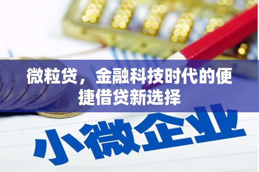 贵德微粒贷，金融科技时代的便捷借贷新选择