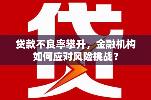 贵德贷款不良率攀升，金融机构如何应对风险挑战？