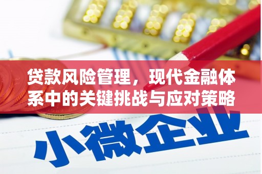 贵德贷款风险管理，现代金融体系中的关键挑战与应对策略