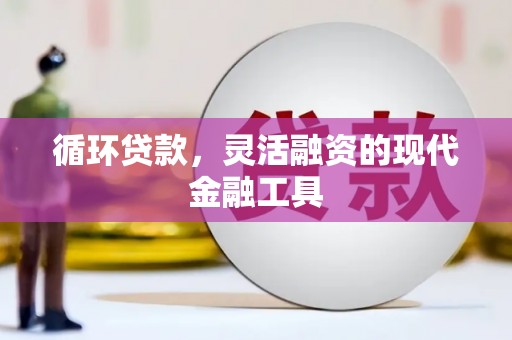 贵德循环贷款，灵活融资的现代金融工具