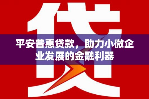 贵德平安普惠贷款，助力小微企业发展的金融利器