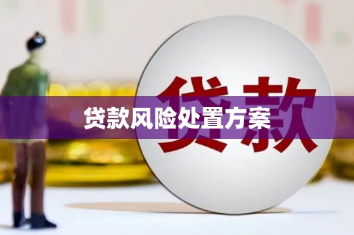 贵德贷款风险处置方案