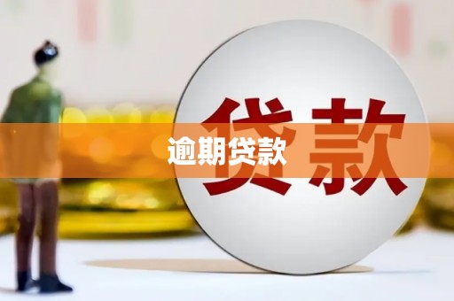贵德逾期贷款