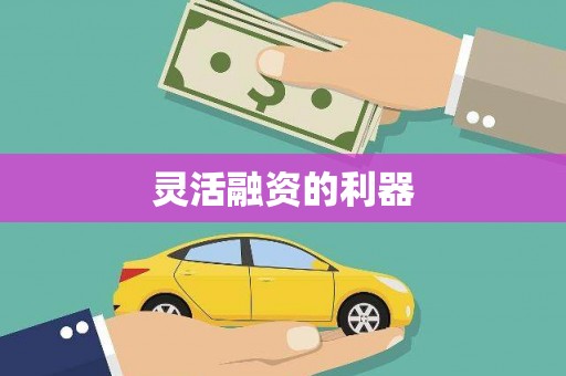 贵德灵活融资的利器