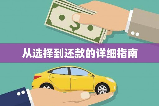 贵德从选择到还款的详细指南