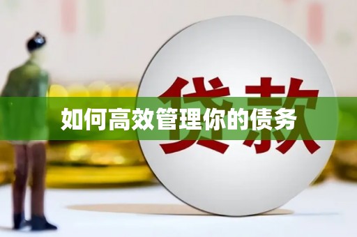 贵德如何高效管理你的债务