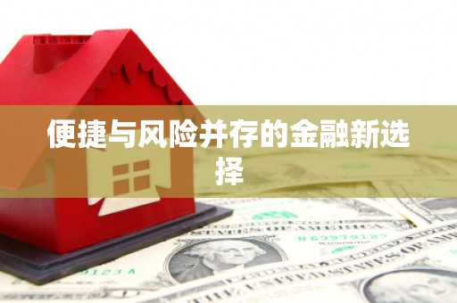 贵德便捷与风险并存的金融新选择