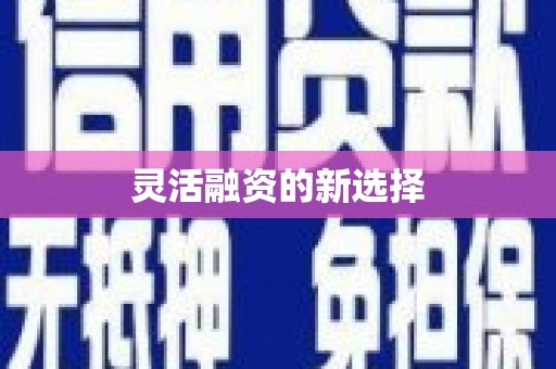 贵德灵活融资的新选择