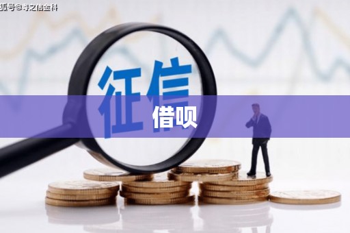 贵德借呗