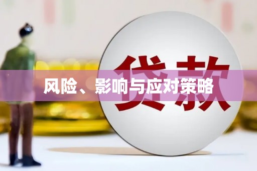 贵德风险、影响与应对策略