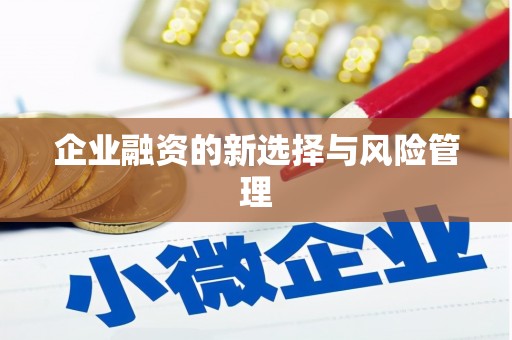 贵德企业融资的新选择与风险管理