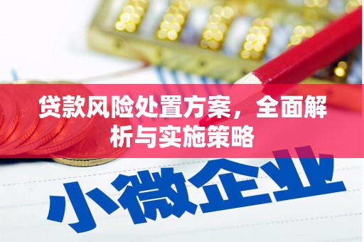 贵德贷款风险处置方案，全面解析与实施策略