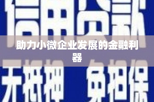 贵德助力小微企业发展的金融利器