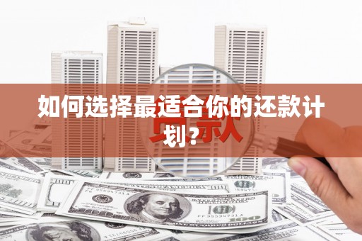贵德如何选择最适合你的还款计划？