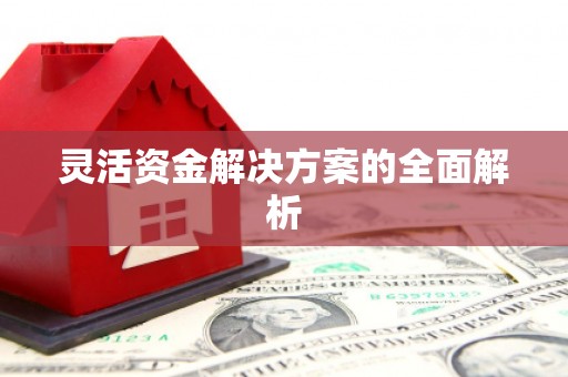 贵德灵活资金解决方案的全面解析