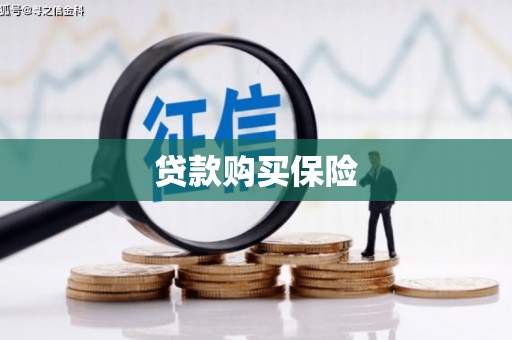贵德贷款购买保险