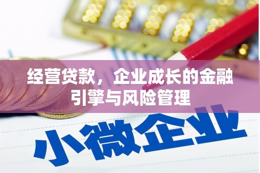 贵德经营贷款，企业成长的金融引擎与风险管理