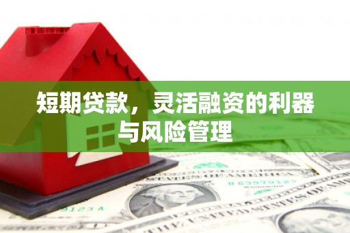 贵德短期贷款，灵活融资的利器与风险管理