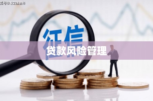 贵德贷款风险管理