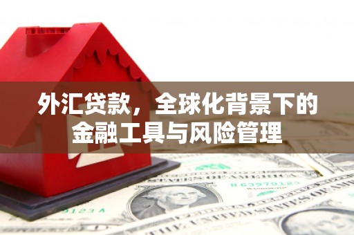 贵德外汇贷款，全球化背景下的金融工具与风险管理