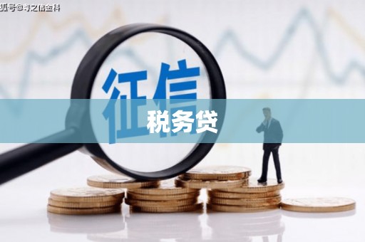 贵德税务贷